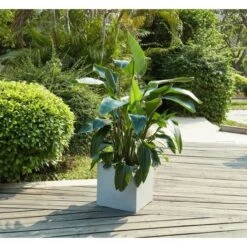 Bac A Fleurs En Fibre De Verre Style Ciment - 42 X 42 X 40 Cm - Gris -Maison Eclat Boutique bac a fleurs en fibre de verre style ciment 42 x 42 x 40 cm gris 3584179045989 697610