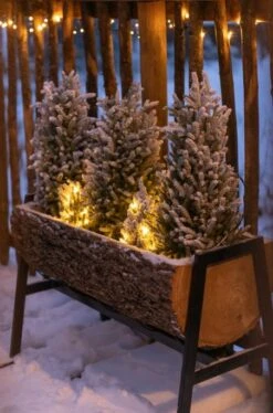 Cache-pot Sur Pied Demi Tronc Bois Naturel Javia L 78 Cm -Maison Eclat Boutique cache pot sur pied demi tronc bois naturel javia l 78 cm 5400924155551 1327086