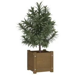 Maison Eclat Boutique -Maison Eclat Boutique jardiniere exterieur marron miel 31x31x31 cm bois de pin massif 3666722137607 1318993