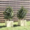 Jardinières 2 Pcs Blanc 31x31x31 Cm Bois De Pin Massif