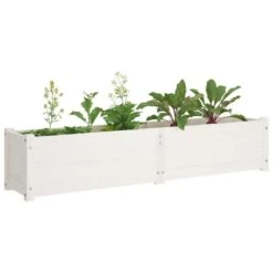 Lit Surélevé De Jardin Blanc 150x31x31 Cm Bois De Sapin Massif -Maison Eclat Boutique lit sureleve de jardin blanc 150x31x31 cm bois de sapin massif 3666722151924 1259763