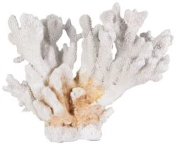 Sculpture Corail Résine Blanc Iluna