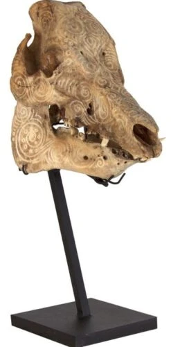 Sculpture Crâne Noir Et Naturel Verni Billy