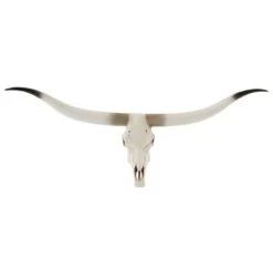 Sculpture Crâne Résine Blanche Et Noire Bialli L 107 Cm