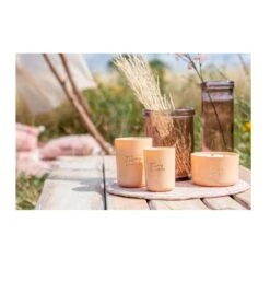 Vase Verre Rose Indie H 20 Cm -Maison Eclat Boutique vase verre rose indie h 20 cm 5400924042059 375287