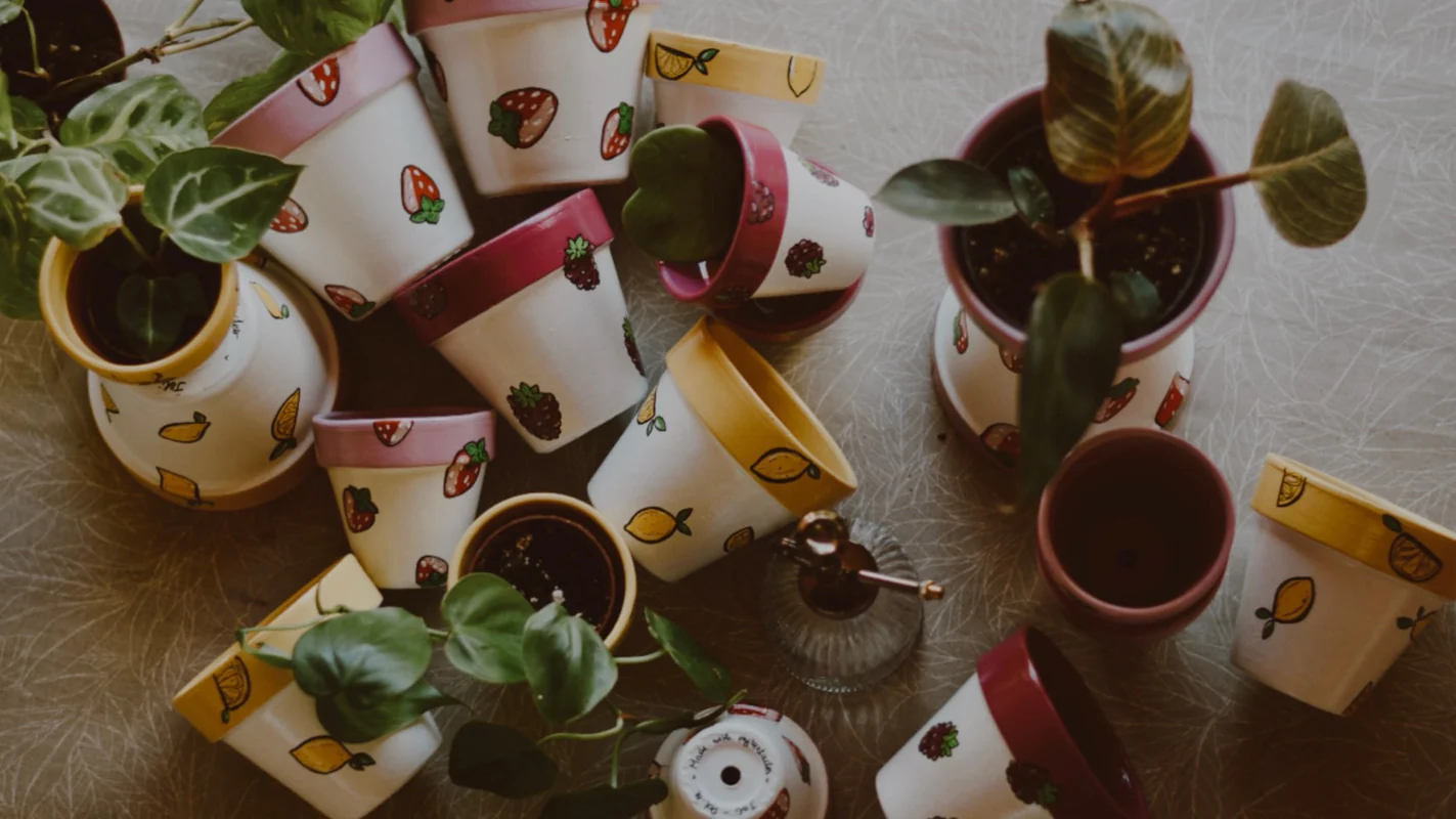 Maison Eclat Boutique -Maison Eclat Boutique